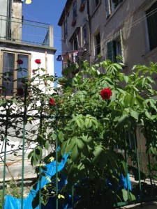 biennale apartments venice